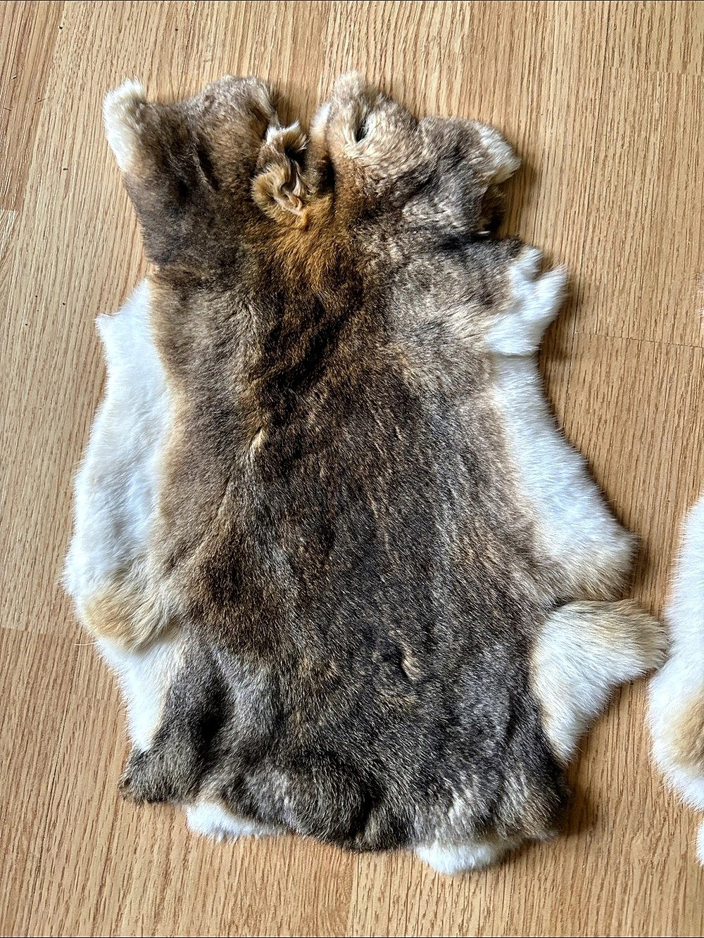 B0269 Premium Otter-Color Small Rex Rabbit Pelt — Exceptionally Soft & Plush